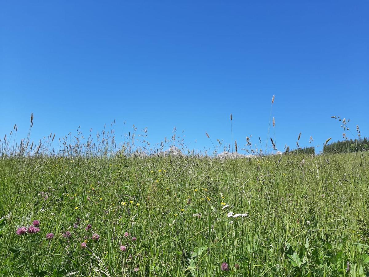 Bio-Bauernhof Hatzbauer Maria Alm am Steinernen Meer Buitenkant foto