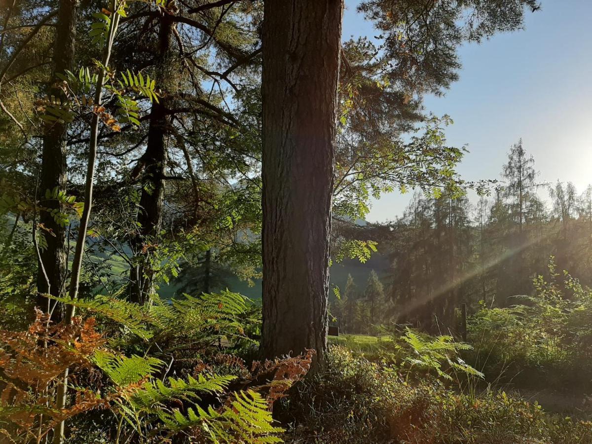 Bio-Bauernhof Hatzbauer Maria Alm am Steinernen Meer Buitenkant foto