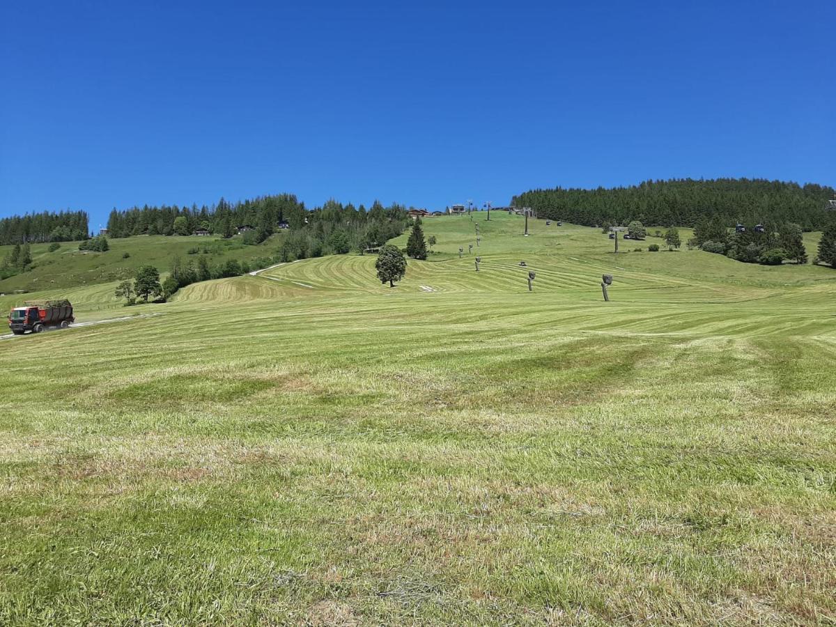 Bio-Bauernhof Hatzbauer Maria Alm am Steinernen Meer Buitenkant foto