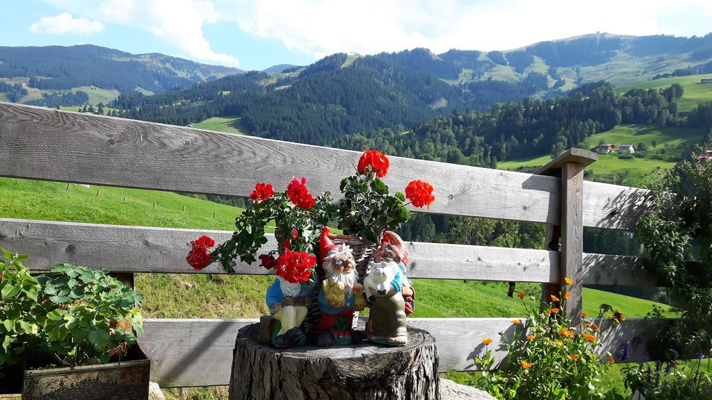 Bio-Bauernhof Hatzbauer Maria Alm am Steinernen Meer Buitenkant foto