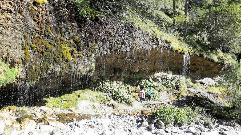 Bio-Bauernhof Hatzbauer Maria Alm am Steinernen Meer Buitenkant foto