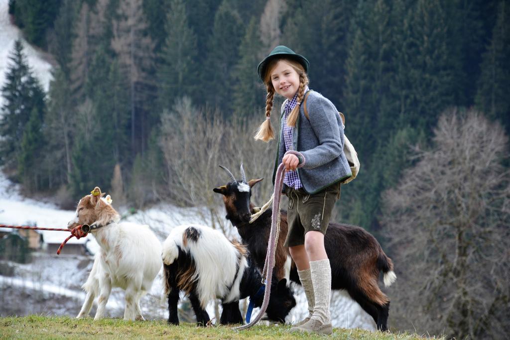 Bio-Bauernhof Hatzbauer Maria Alm am Steinernen Meer Buitenkant foto