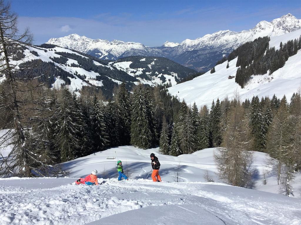 Bio-Bauernhof Hatzbauer Maria Alm am Steinernen Meer Buitenkant foto