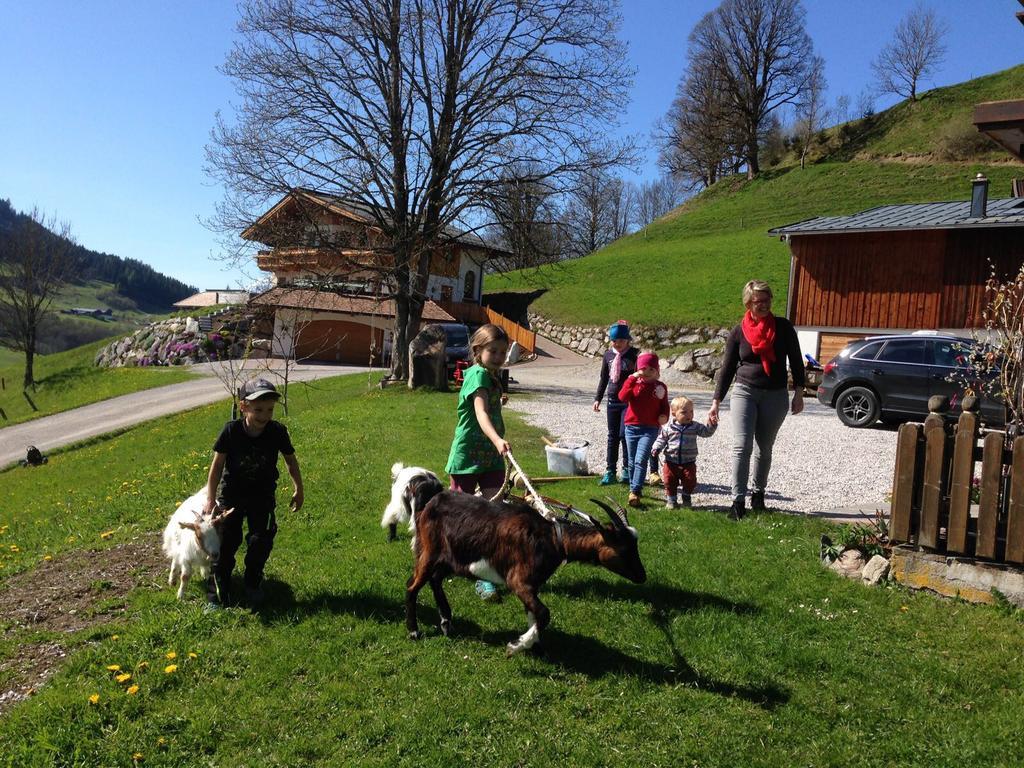 Bio-Bauernhof Hatzbauer Maria Alm am Steinernen Meer Buitenkant foto