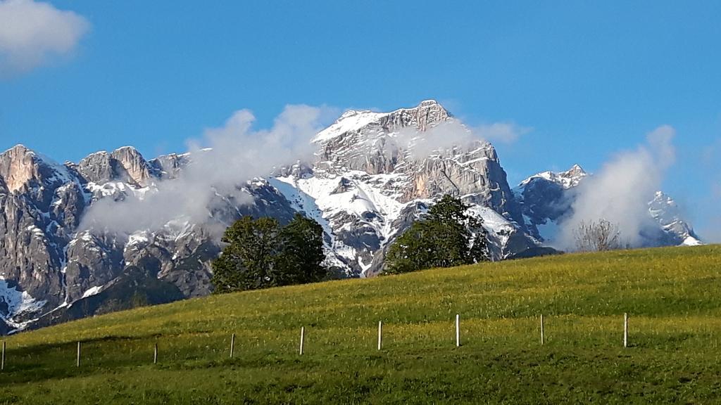 Bio-Bauernhof Hatzbauer Maria Alm am Steinernen Meer Buitenkant foto