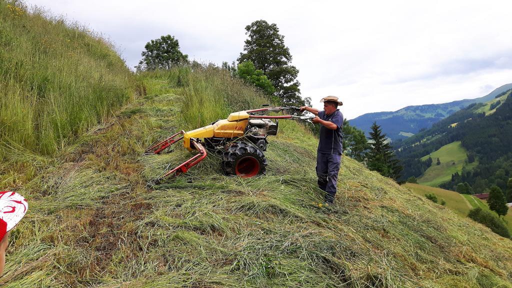 Bio-Bauernhof Hatzbauer Maria Alm am Steinernen Meer Buitenkant foto
