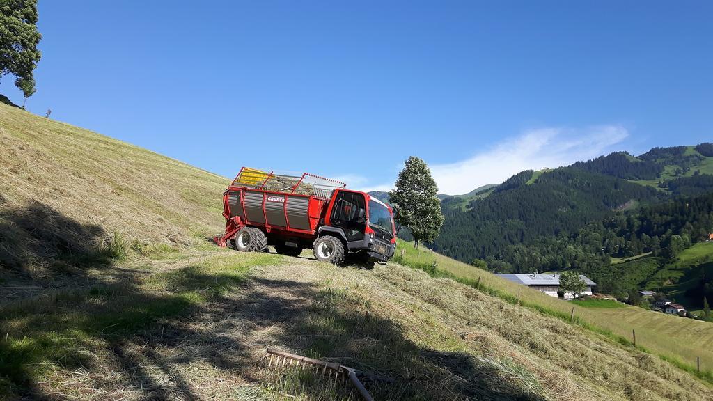 Bio-Bauernhof Hatzbauer Maria Alm am Steinernen Meer Buitenkant foto