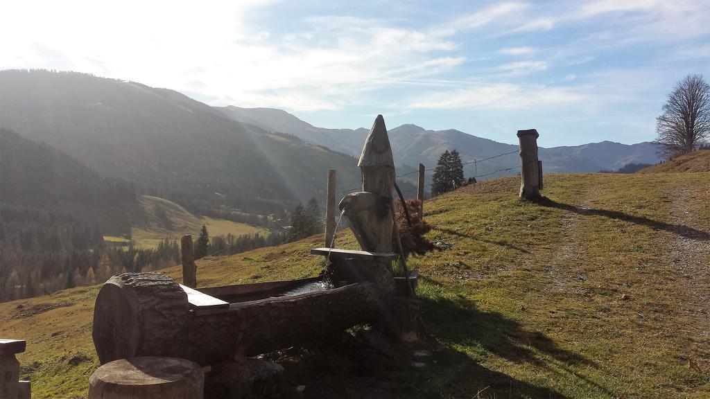 Bio-Bauernhof Hatzbauer Maria Alm am Steinernen Meer Buitenkant foto