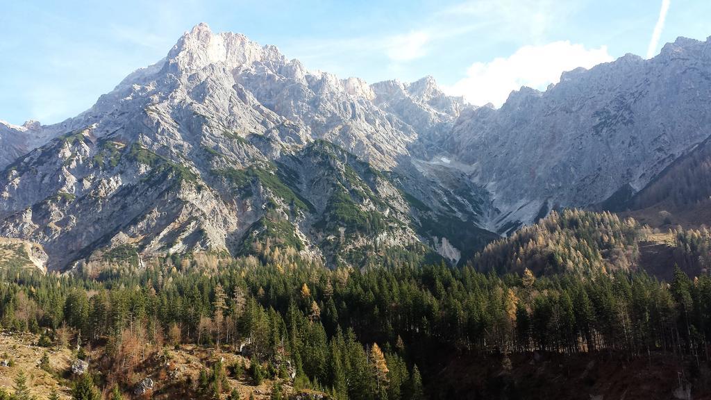 Bio-Bauernhof Hatzbauer Maria Alm am Steinernen Meer Buitenkant foto